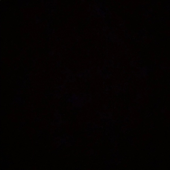 Meet your Posher, Reagan - Picture 1 of 1